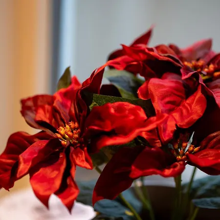 Vila Arctic Homes - The Spacious Tromsø