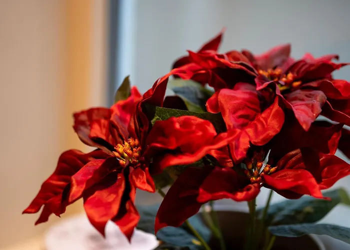 빌라 Arctic Homes - The Spacious 트롬쇠